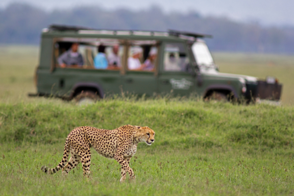 Planeje um safari para casal: 5 parques menos visitados da África