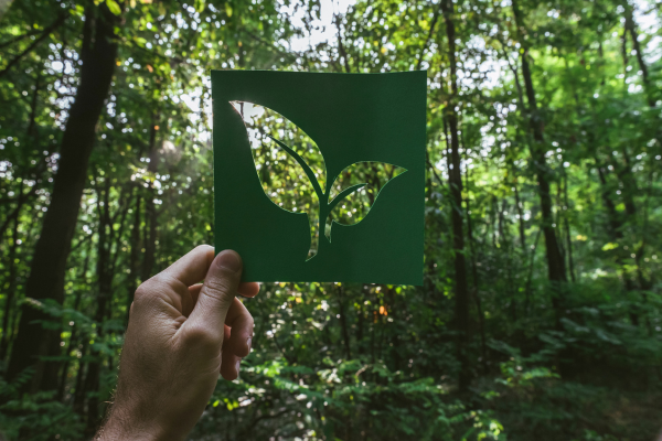 Roteiros de viagem sustentáveis para casais apaixonados por natureza