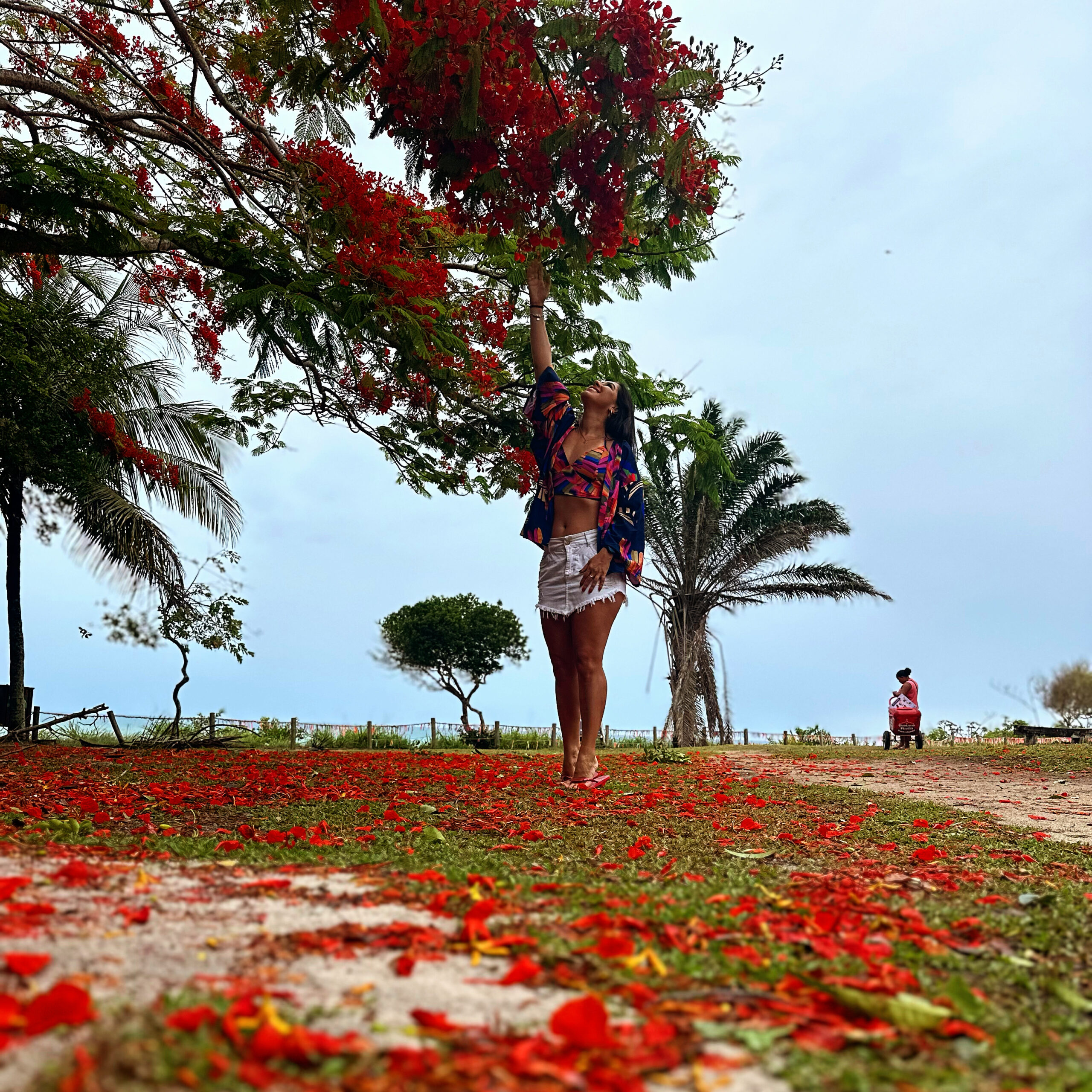 Viajando sozinha? Não caia no room service: como vencer a vergonha e curtir a gastronomia local