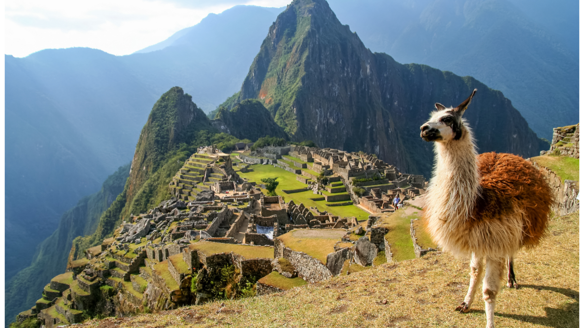 Machu Picchu