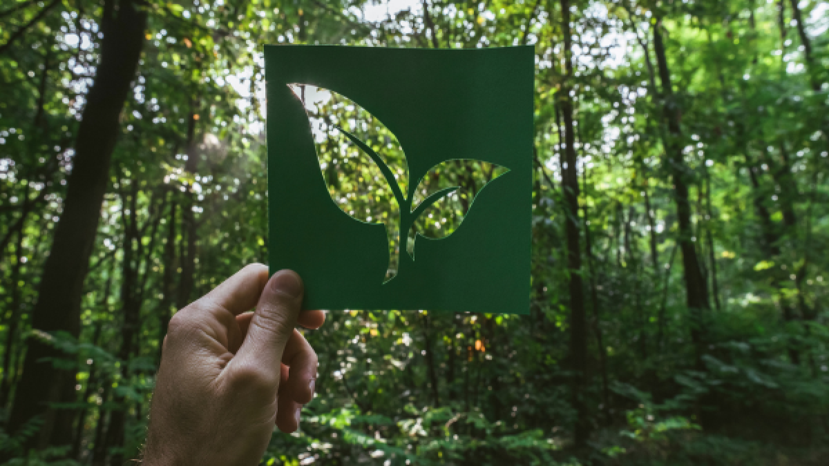 Roteiros de viagem sustentáveis para casais apaixonados por natureza